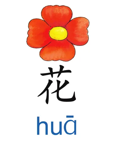 花 hua