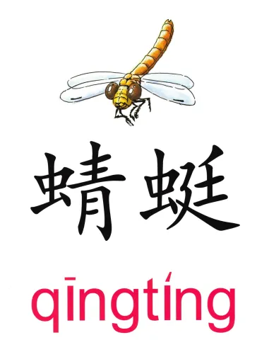 蜻蜓 qingting