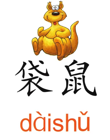 袋鼠 daishu