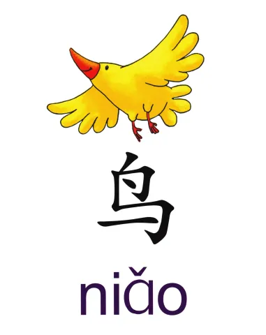 鸟 niao