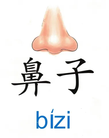 鼻子 bizi