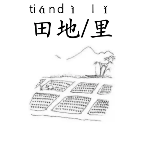 田地 tiandi