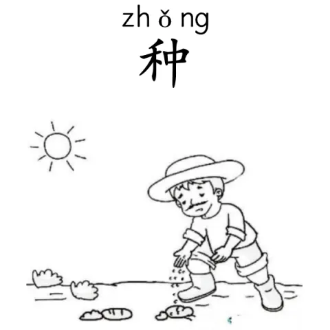 种 zhong