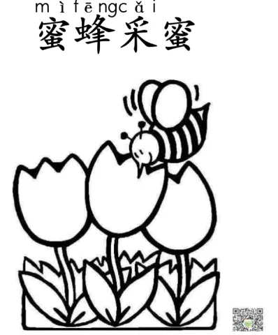蜜蜂采蜜 mifengcaimi