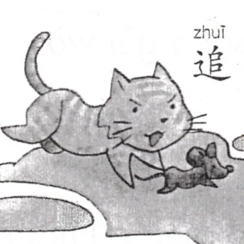 追 zhui