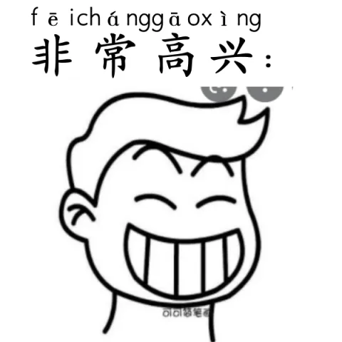 非常高兴 feichanggaoxing