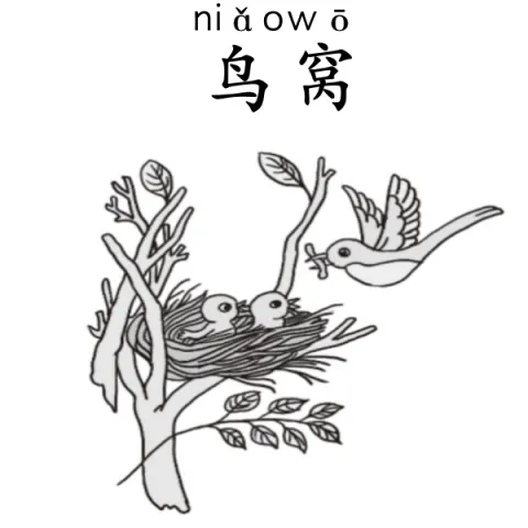 鸟窝 niaowo