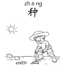 种 zhong