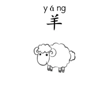 羊 yang