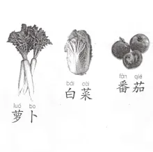 萝卜白菜番茄
