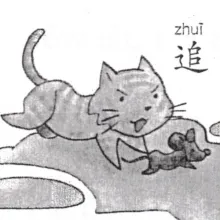 追 zhui
