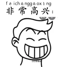 非常高兴 feichanggaoxing