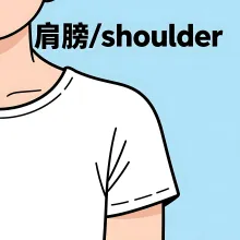 肩膀 jianbang