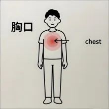 胸口 xiongkou