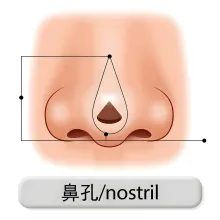 鼻孔 bikong