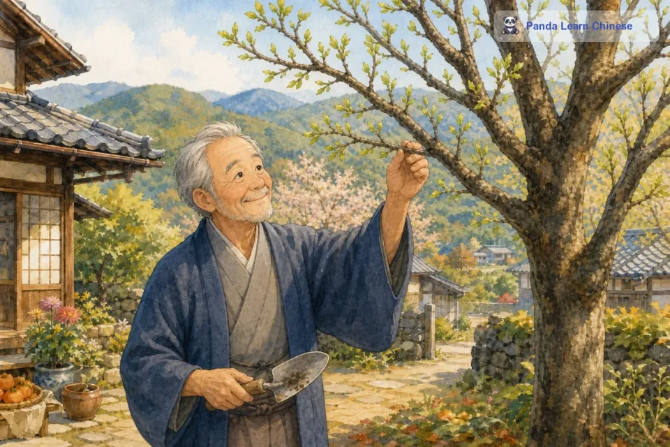 每到春天，柿子树就会吐出嫩绿的新芽，仿佛在告诉大家新的希望已经到来。老人总是会拿着小铲子，小心翼翼地给柿子树松松土，再浇上一些水，眼神里充满了期待和关爱。